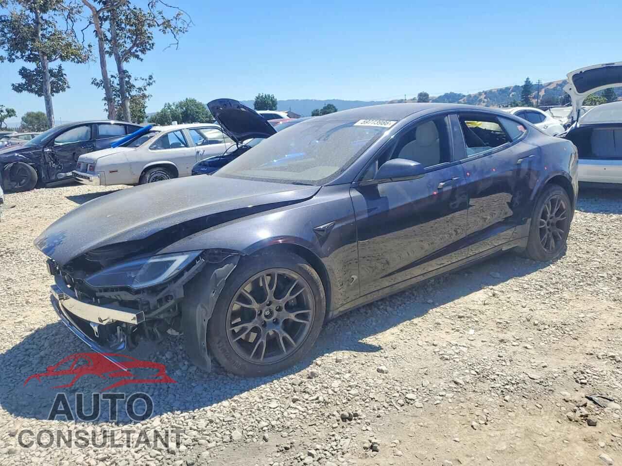 TESLA MODEL S 2023 - 5YJSA1E5XPF530116