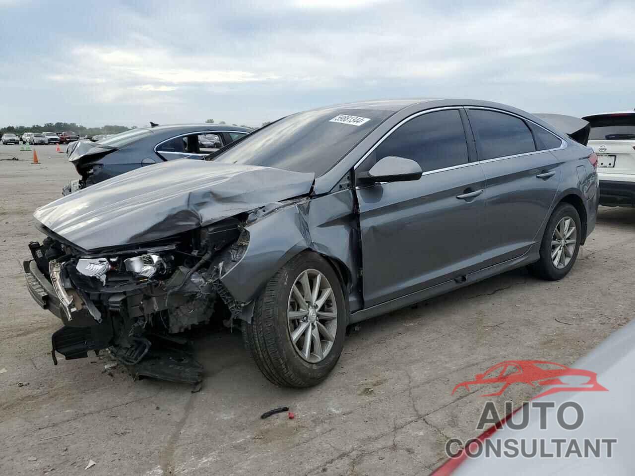 HYUNDAI SONATA 2019 - 5NPE24AF8KH742243