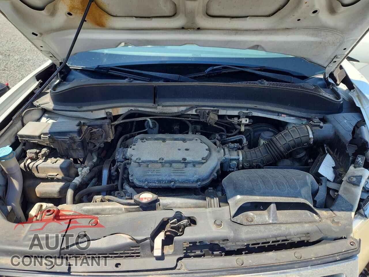 HONDA RIDGELINE 2009 - 5FPYK16509B100935