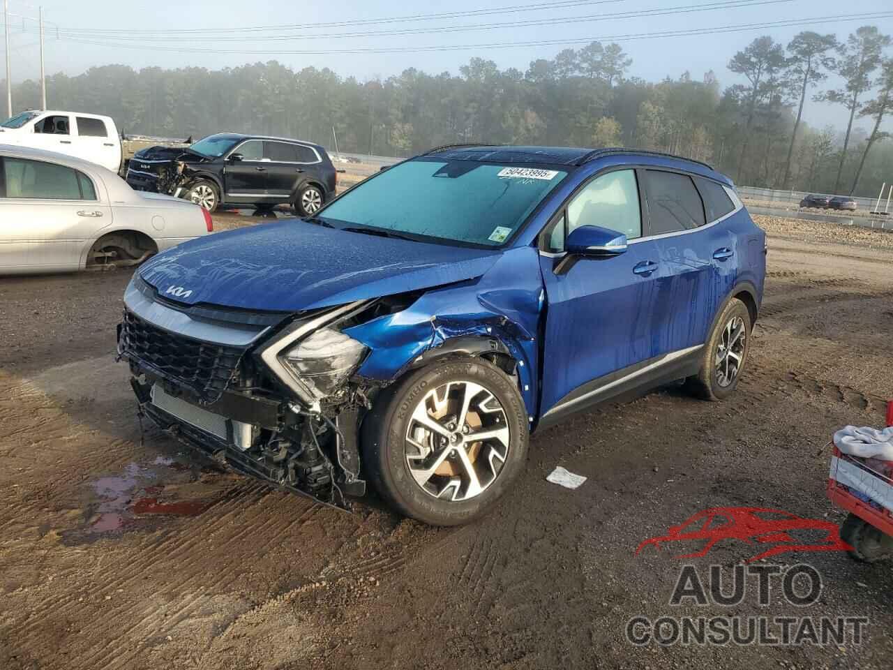 KIA SPORTAGE 2025 - 5XYK33DF4SG280499