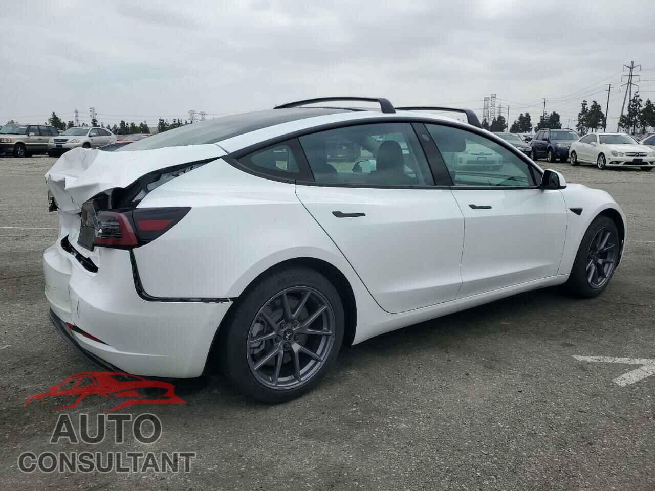 TESLA MODEL 3 2021 - 5YJ3E1EA7MF087909