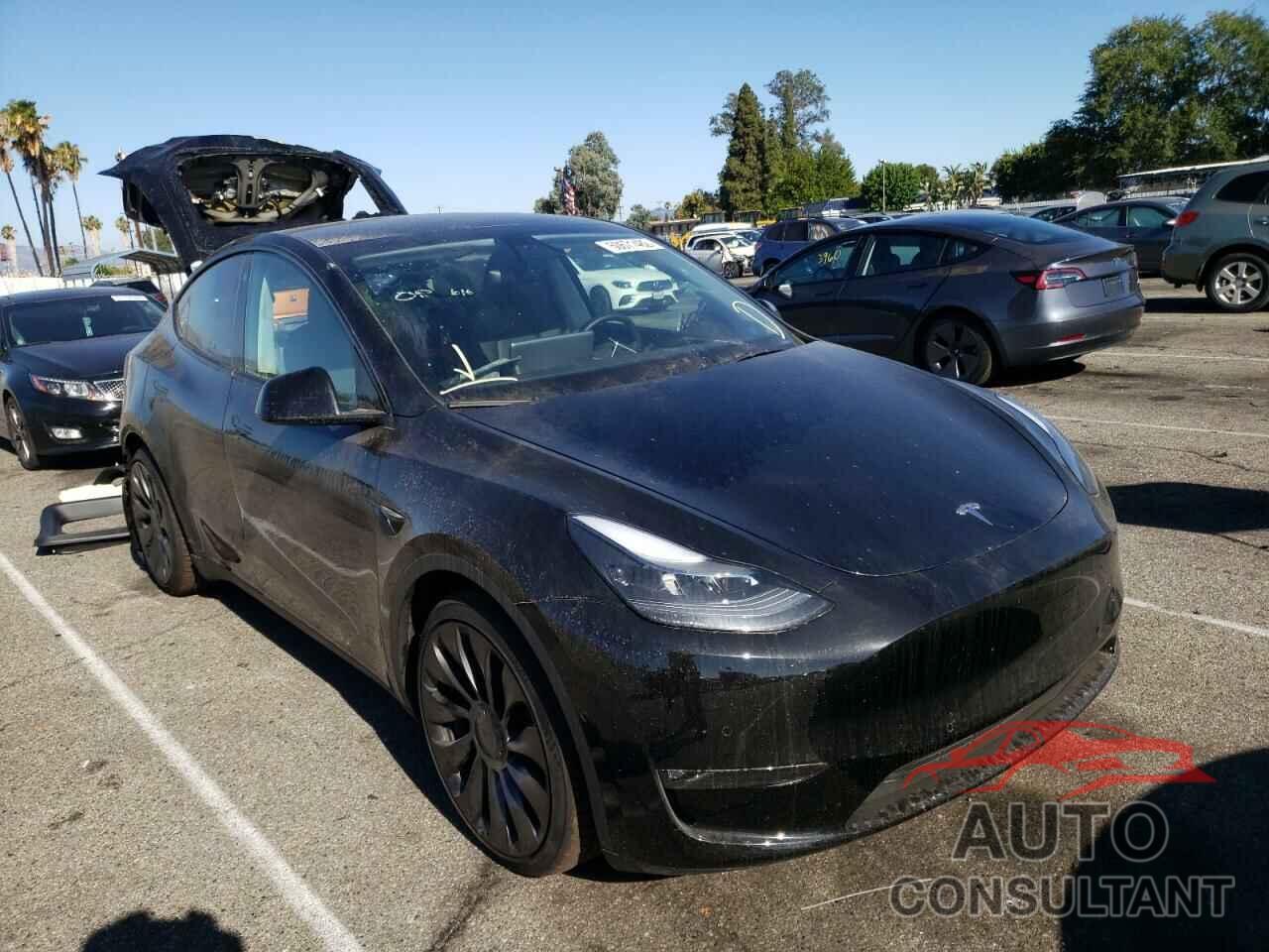 TESLA MODEL Y 2022 - 7SAYGDEF4NF409195
