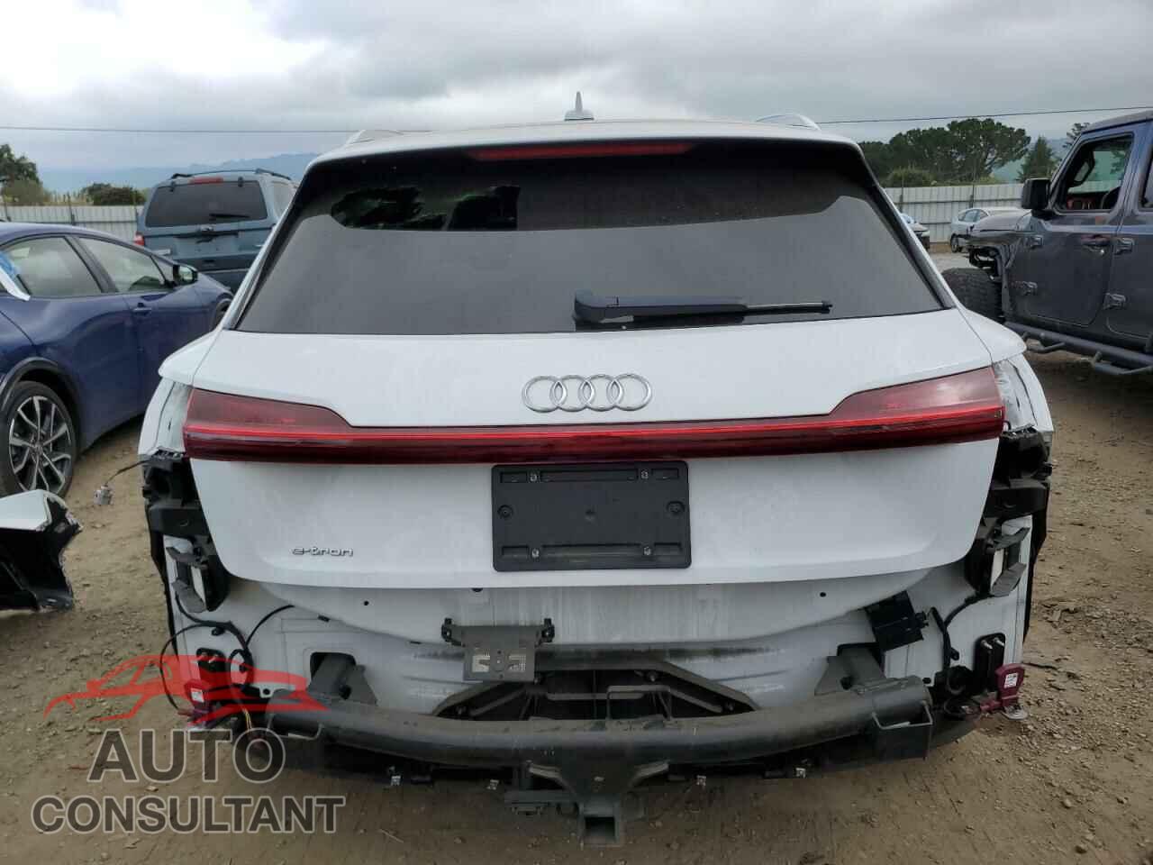 AUDI E-TRON 2019 - WA1LAAGE5KB022305