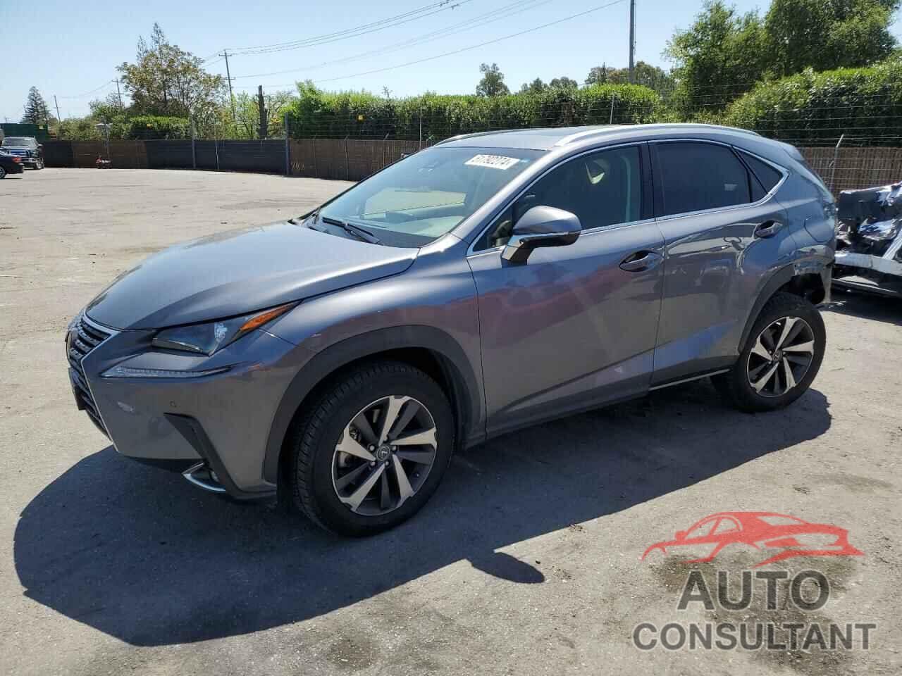 LEXUS NX 2019 - JTJBARBZ8K2214647