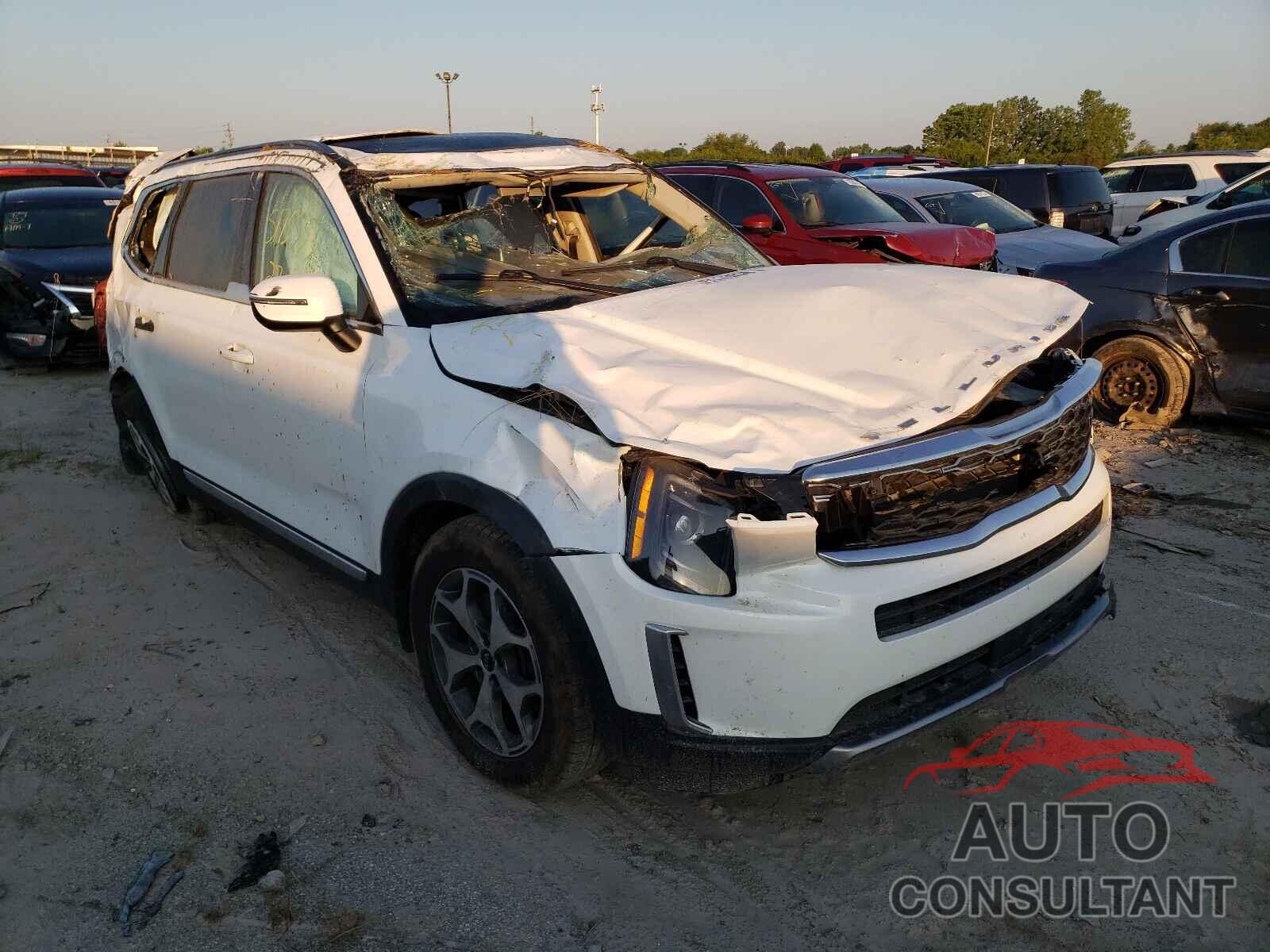 KIA TELLURIDE 2020 - 5XYP34HC5LG034137