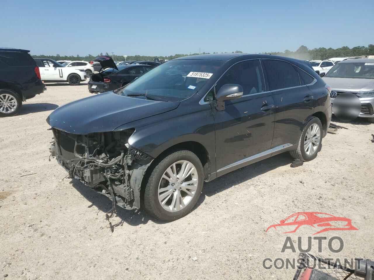 LEXUS RX450 2010 - JTJZB1BA4A2000910