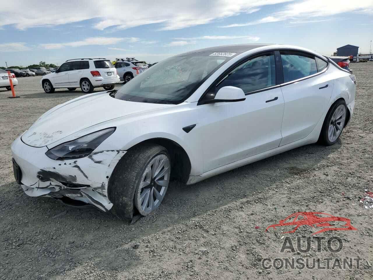 TESLA MODEL 3 2021 - 5YJ3E1EB7MF874304