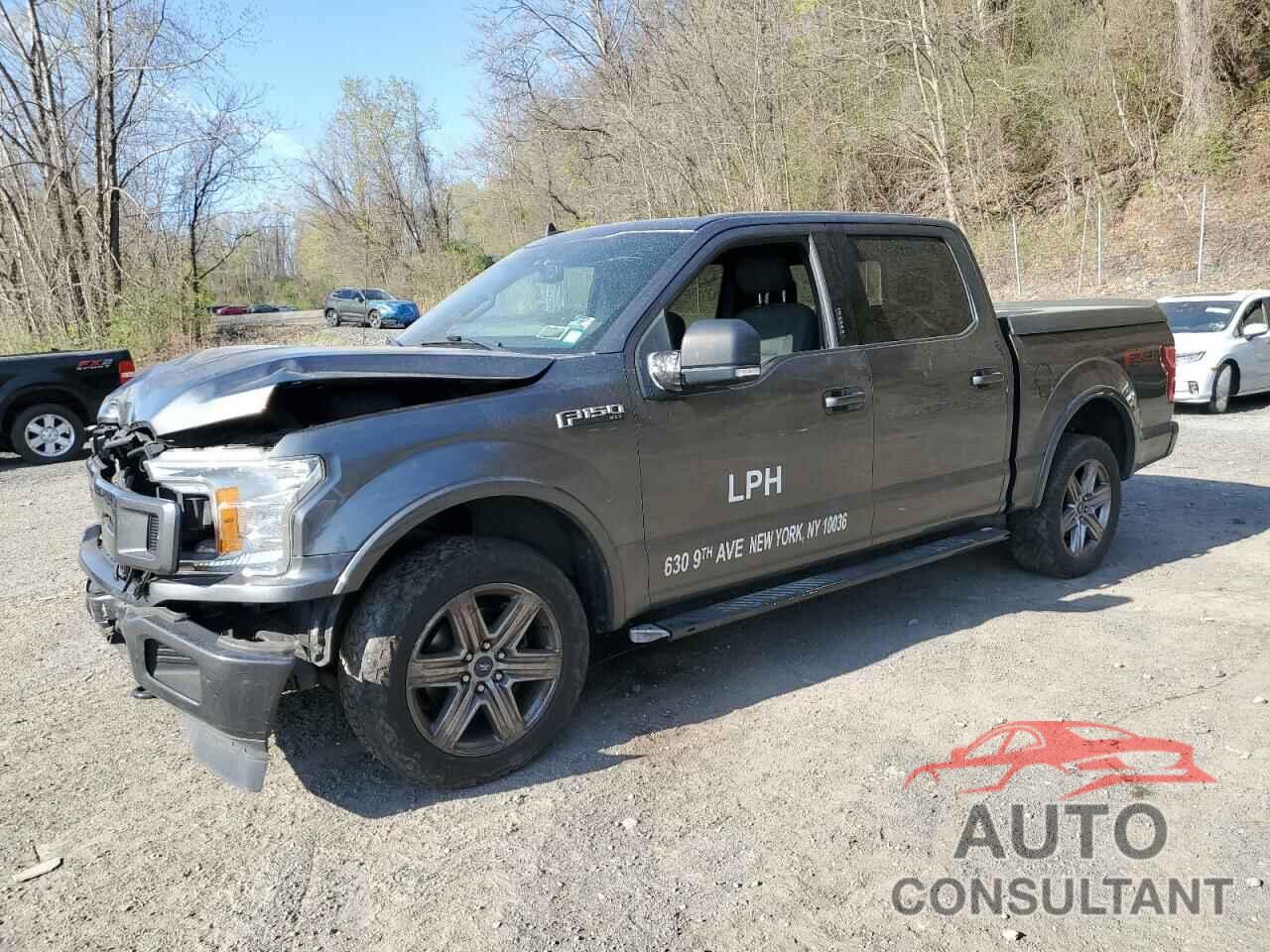 FORD F-150 2019 - 1FTEW1EP1KFA38241