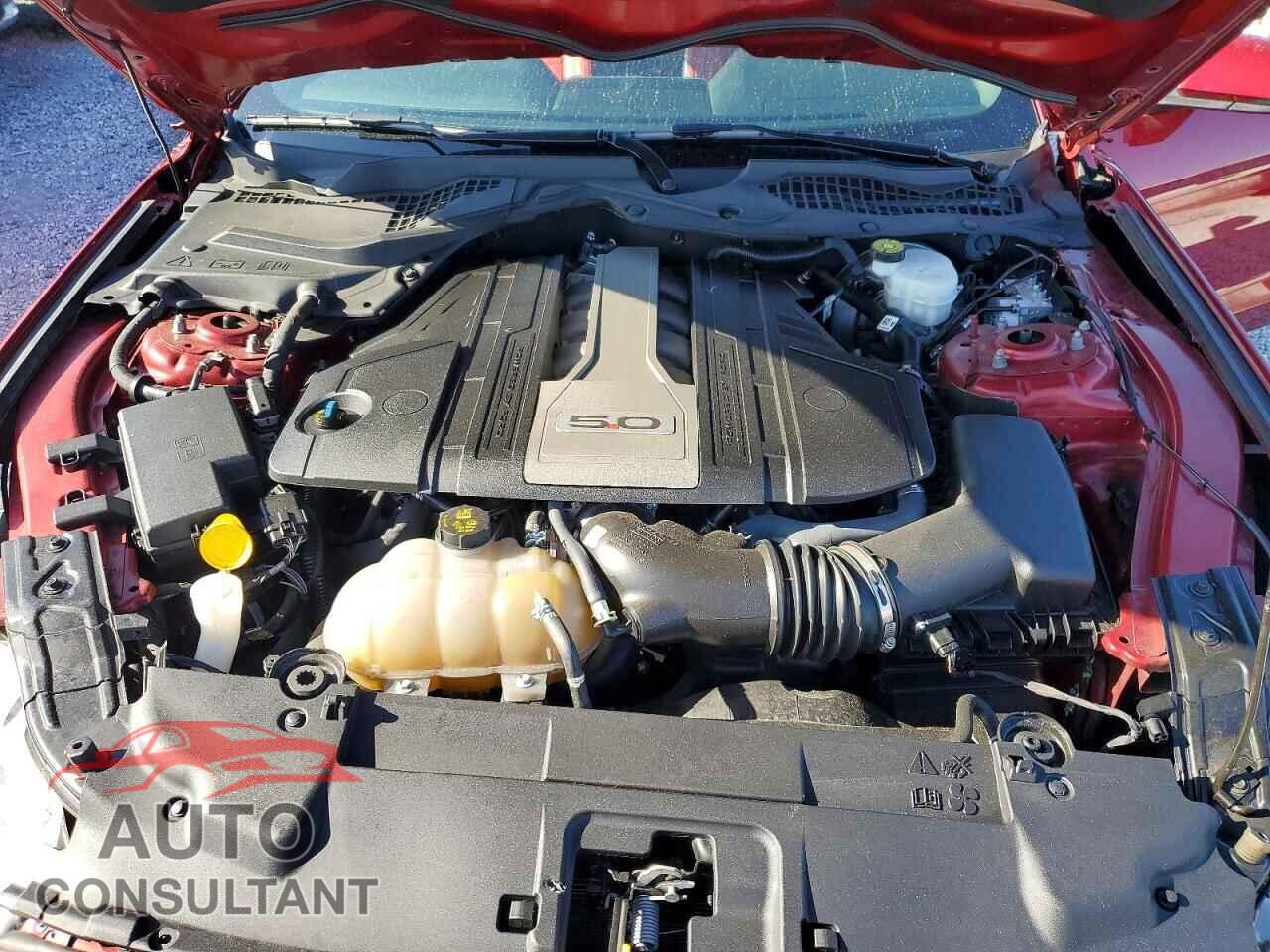 FORD MUSTANG 2019 - 1FA6P8CF1K5205357
