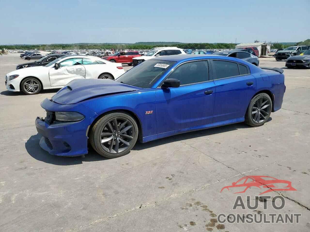 DODGE CHARGER 2019 - 2C3CDXGJXKH553024
