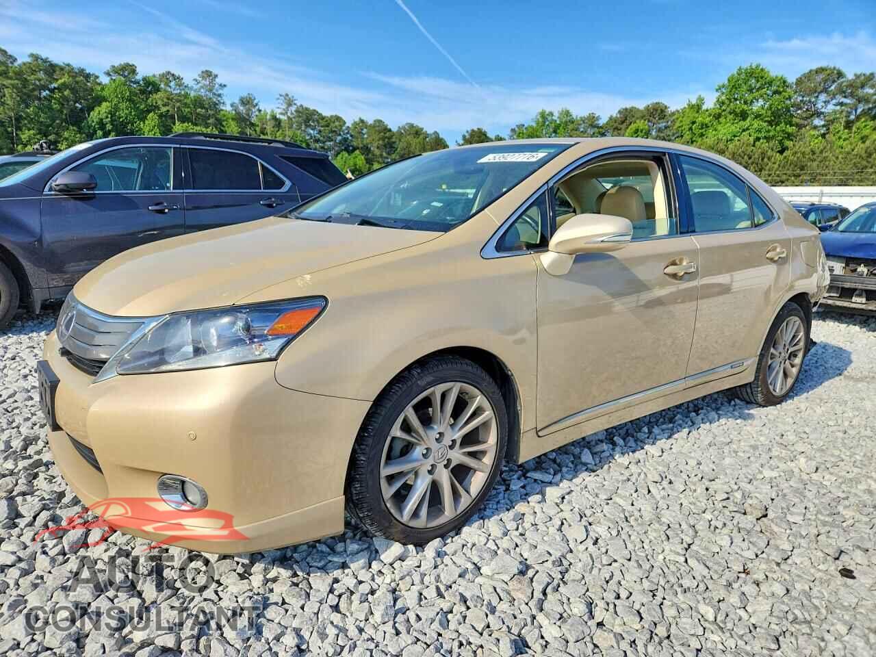 LEXUS HS 2010 - JTHBB1BA8A2010990