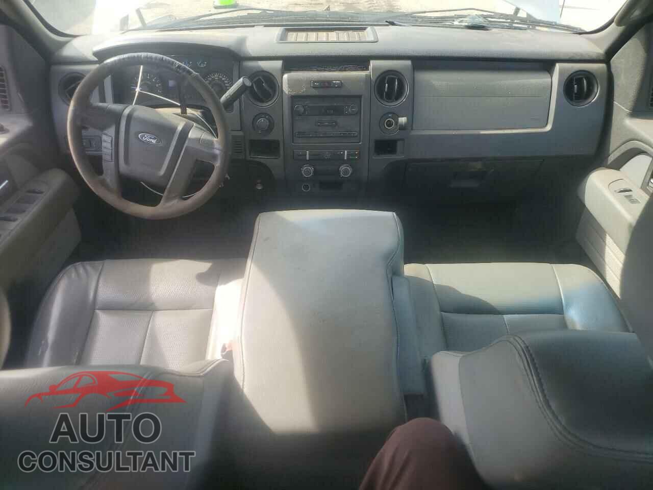 FORD F-150 2013 - 1FTFX1CF5DFA62346