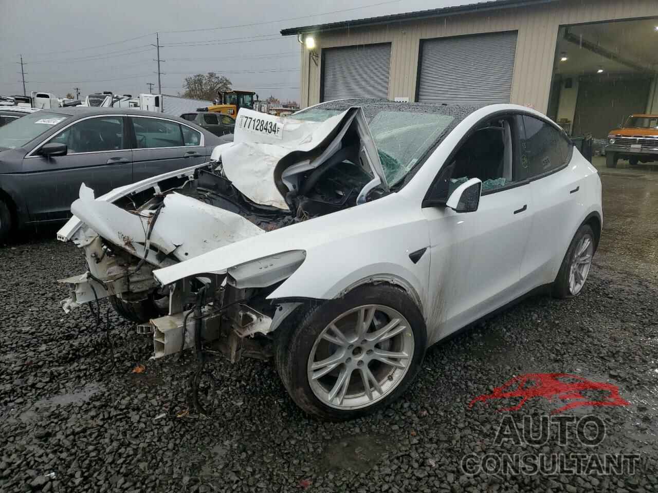 TESLA MODEL Y 2021 - 5YJYGDEE1MF199495