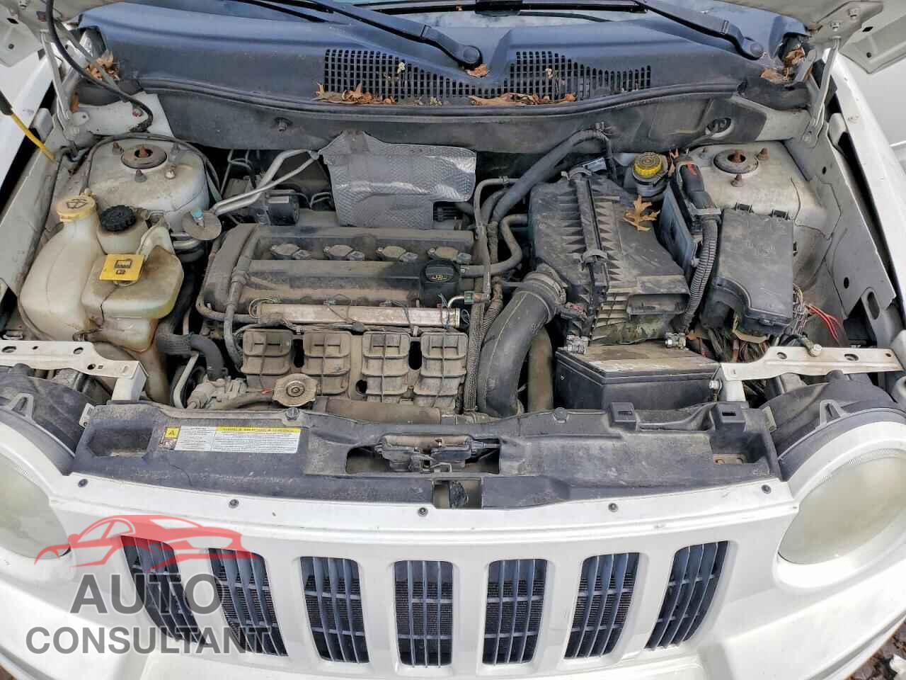JEEP COMPASS 2010 - 1J4NT4FA7AD515408