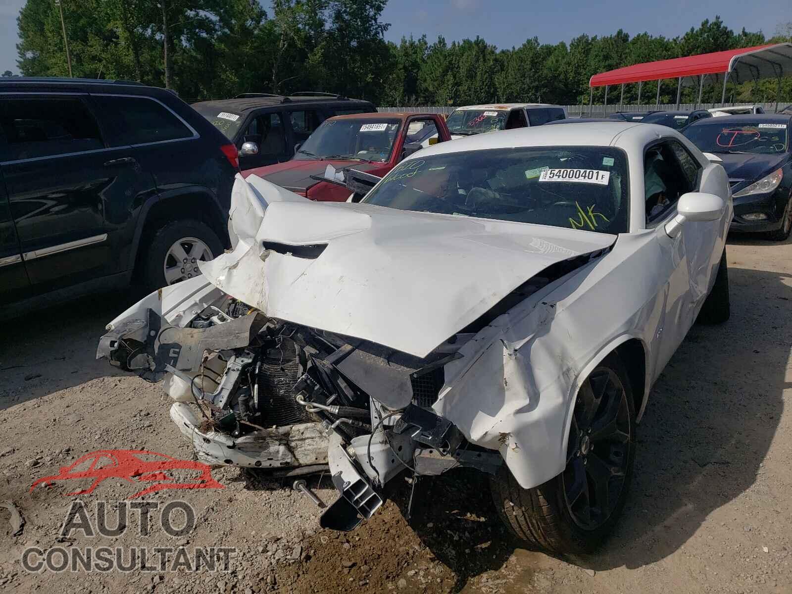 DODGE CHALLENGER 2019 - 2C3CDZBT9KH606431