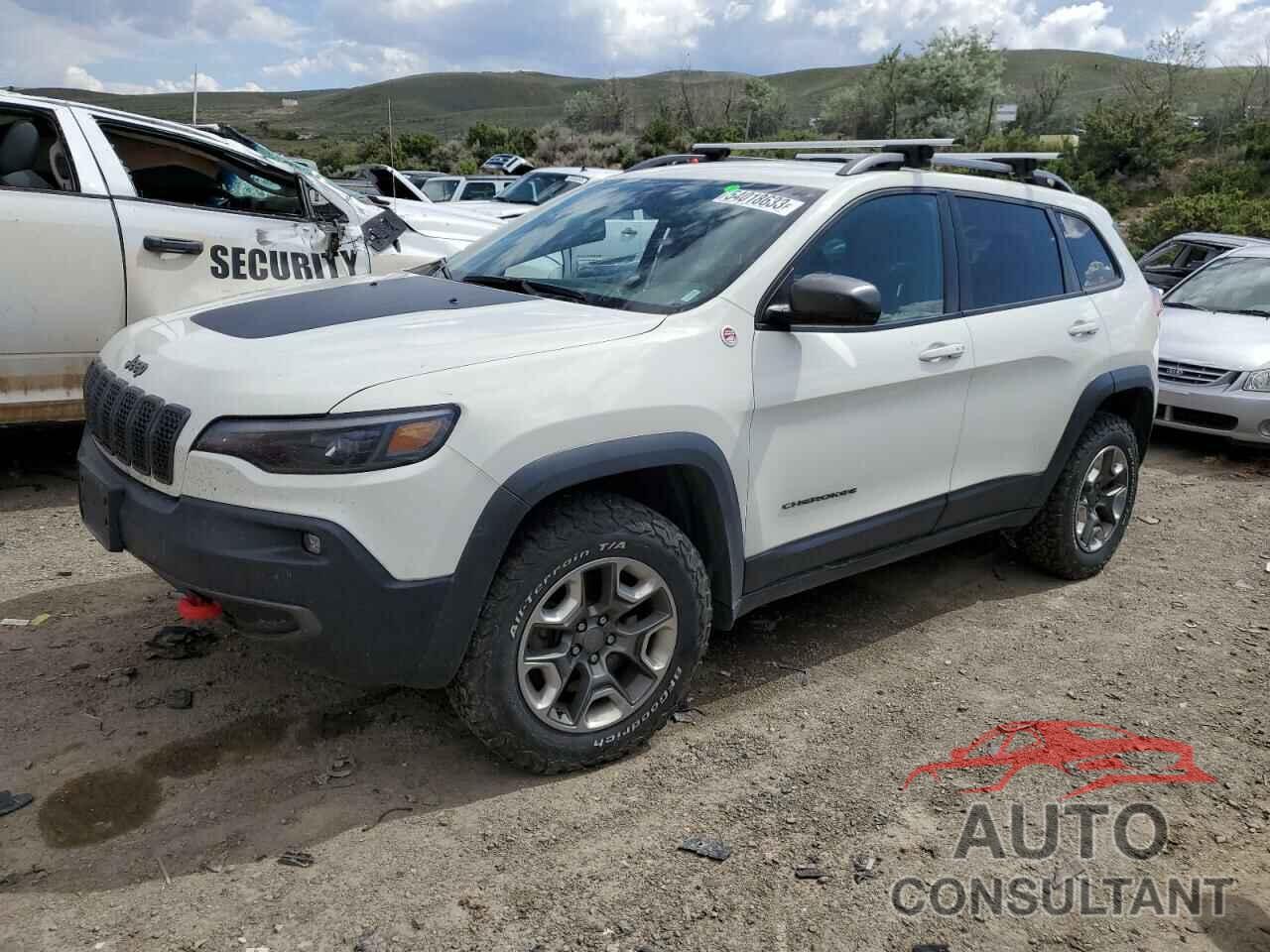 JEEP CHEROKEE 2019 - 1C4PJMBX6KD313725