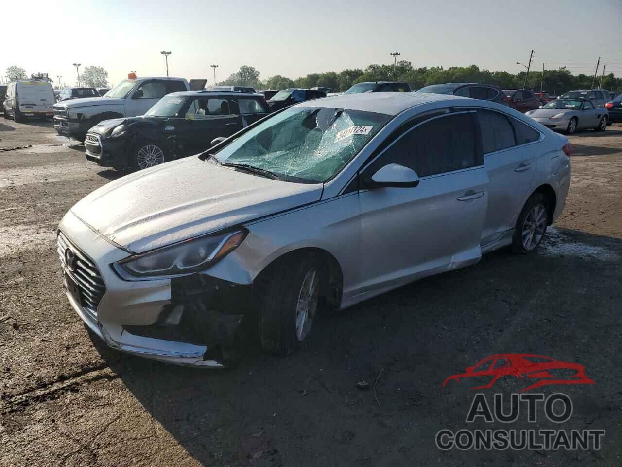 HYUNDAI SONATA 2019 - 5NPE24AF1KH803139