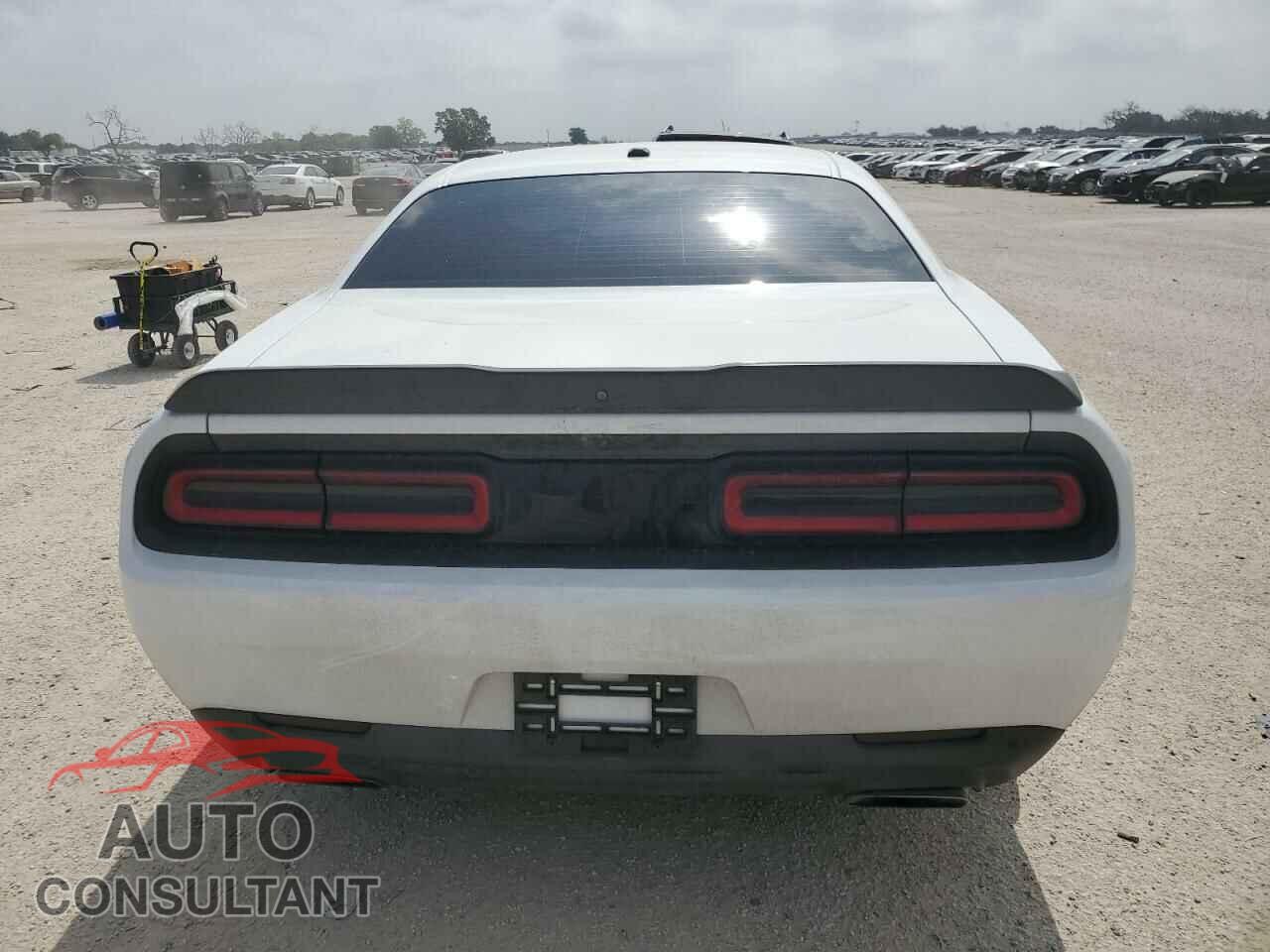 DODGE CHALLENGER 2019 - 2C3CDZBT6KH583285