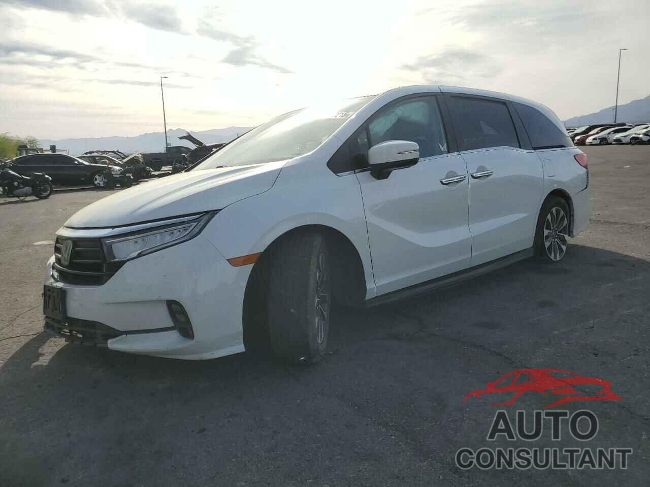 HONDA All Models 2022 - 5FNRL6H72NB041936