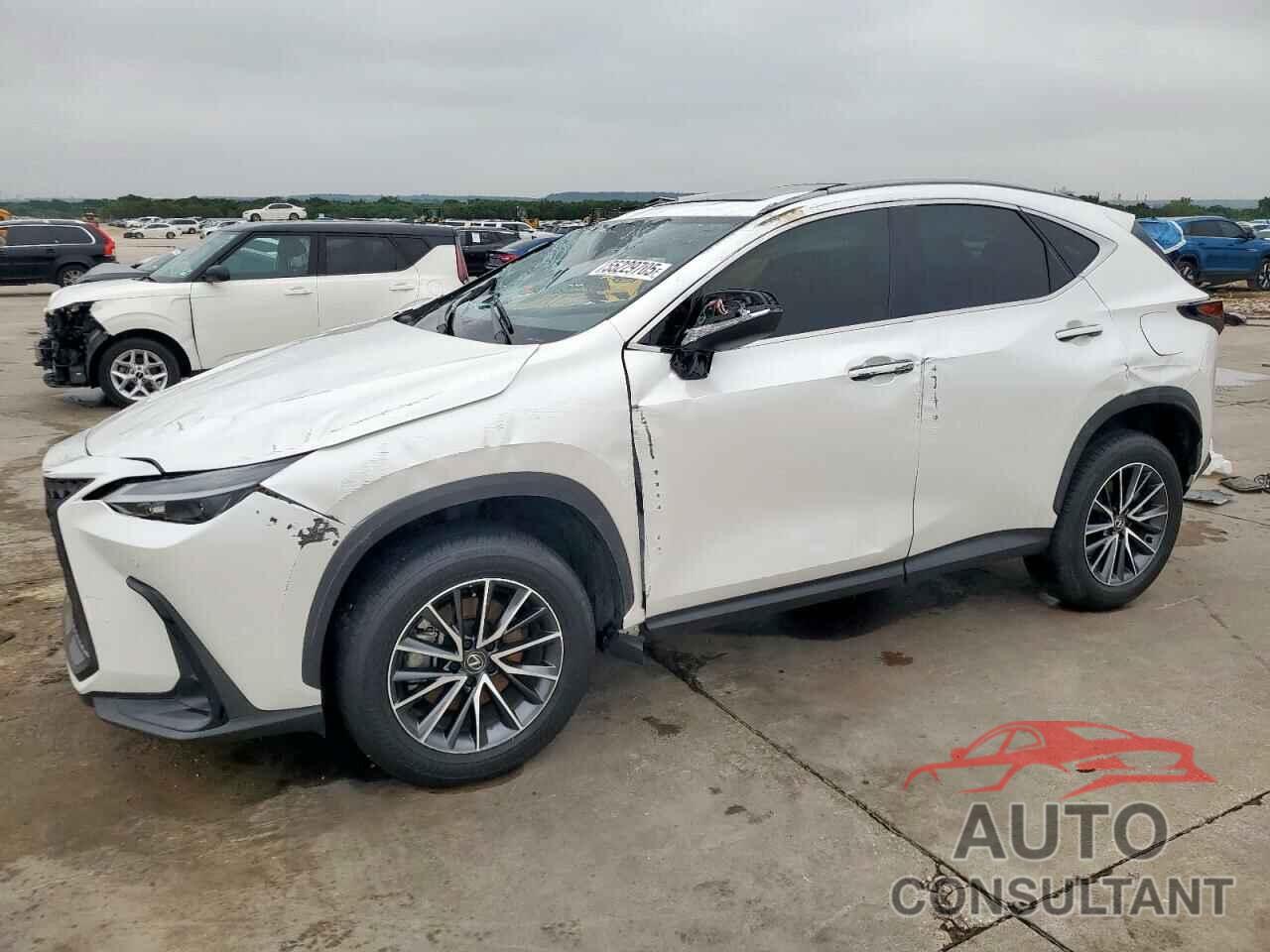 LEXUS NX 250 PRE 2024 - JTJGDCAZ1R5015072