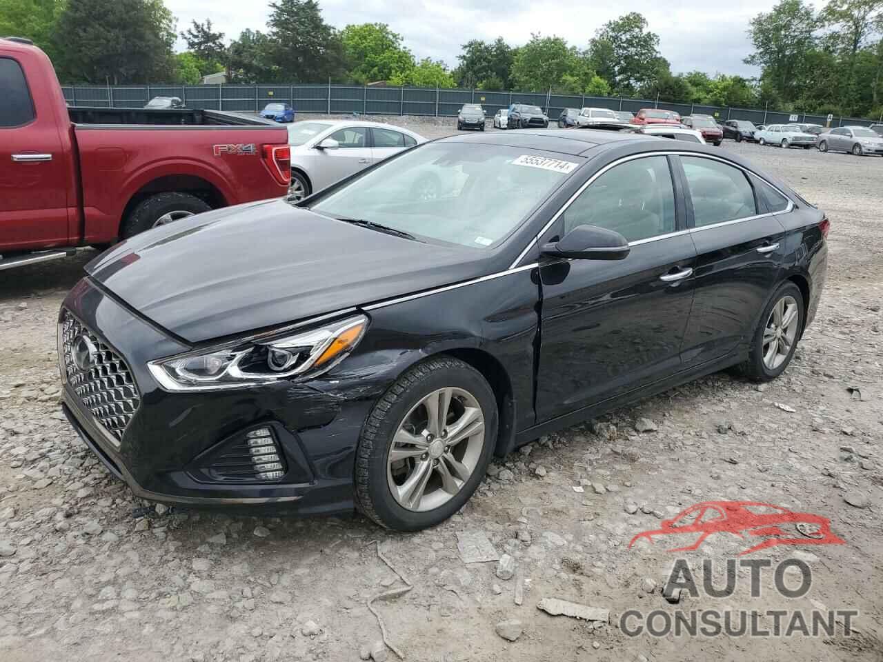 HYUNDAI SONATA 2019 - 5NPE34AF7KH732994