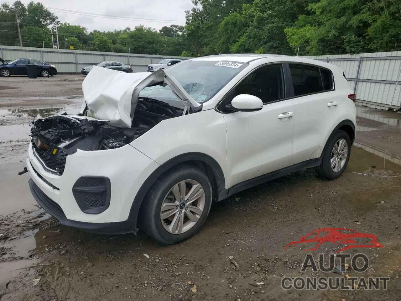 KIA SPORTAGE 2018 - KNDPM3AC6J7445669