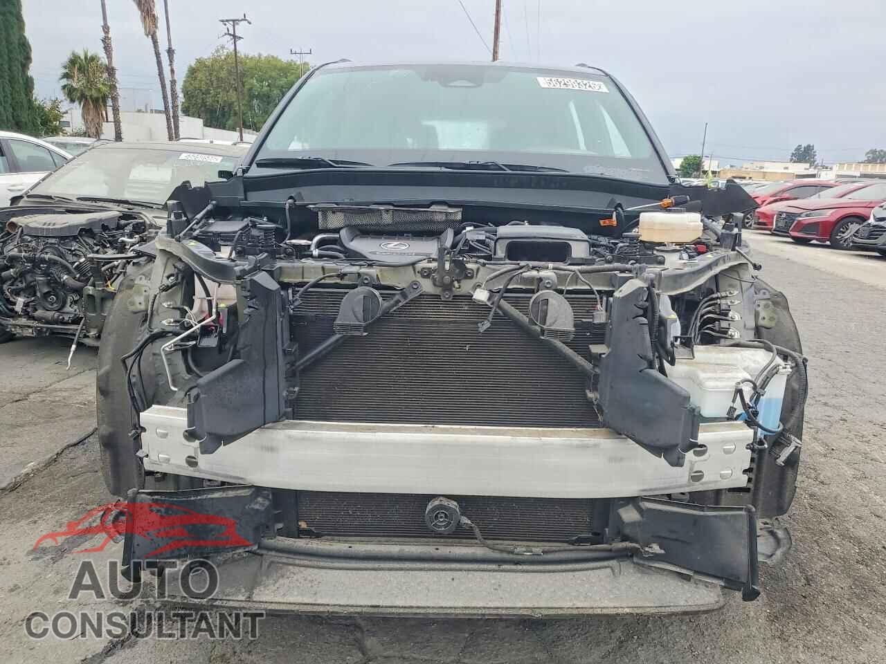 LEXUS UNKNOWN 2024 - 5TDABAB69RS004015