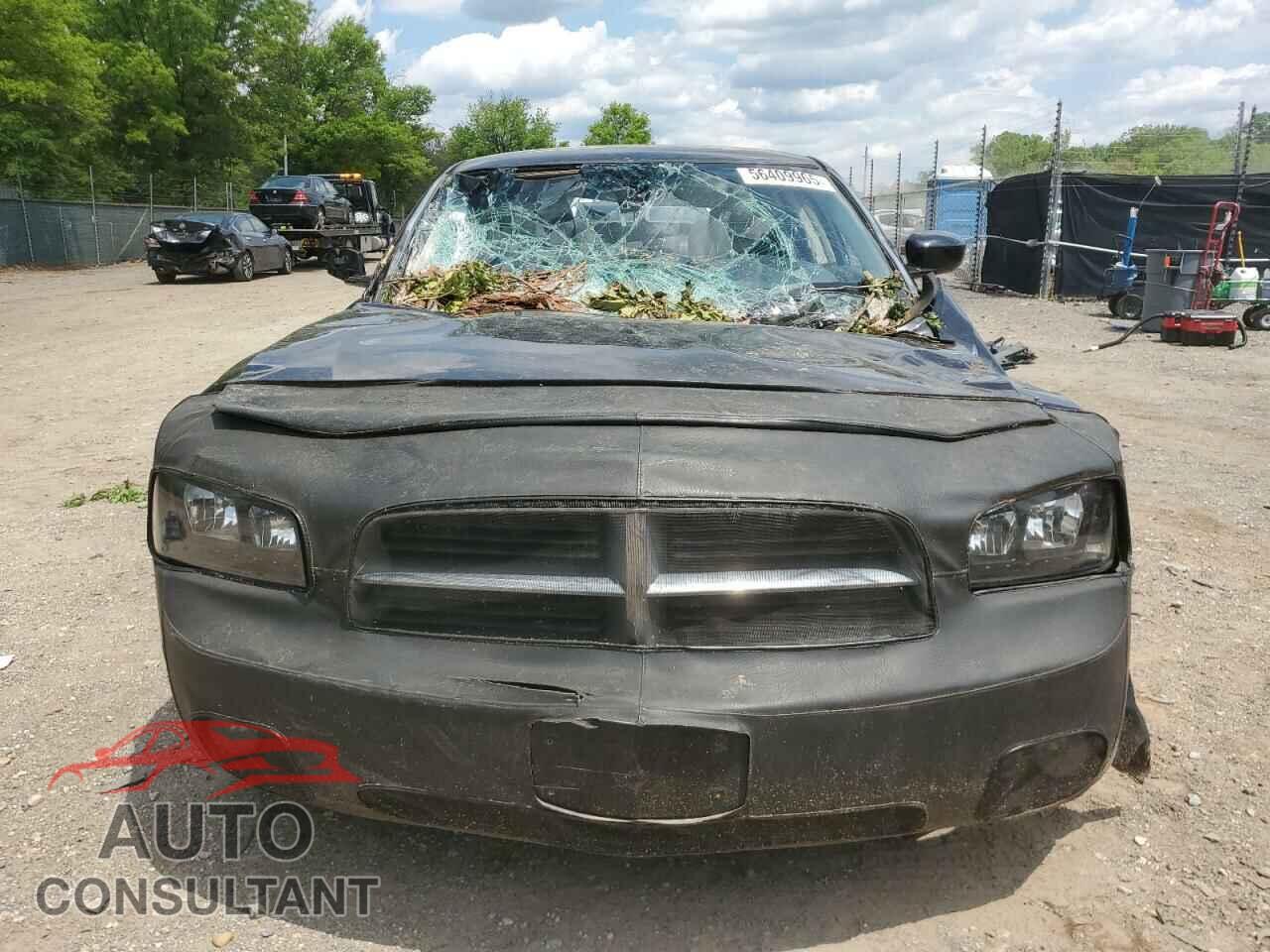 DODGE CHARGER 2010 - 2B3CA3CV2AH264743