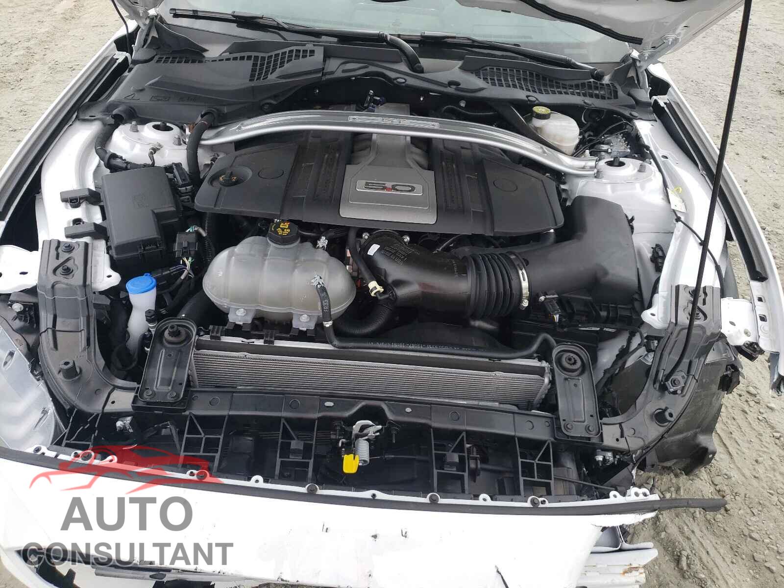FORD MUSTANG 2020 - 1FA6P8CF2L5172144