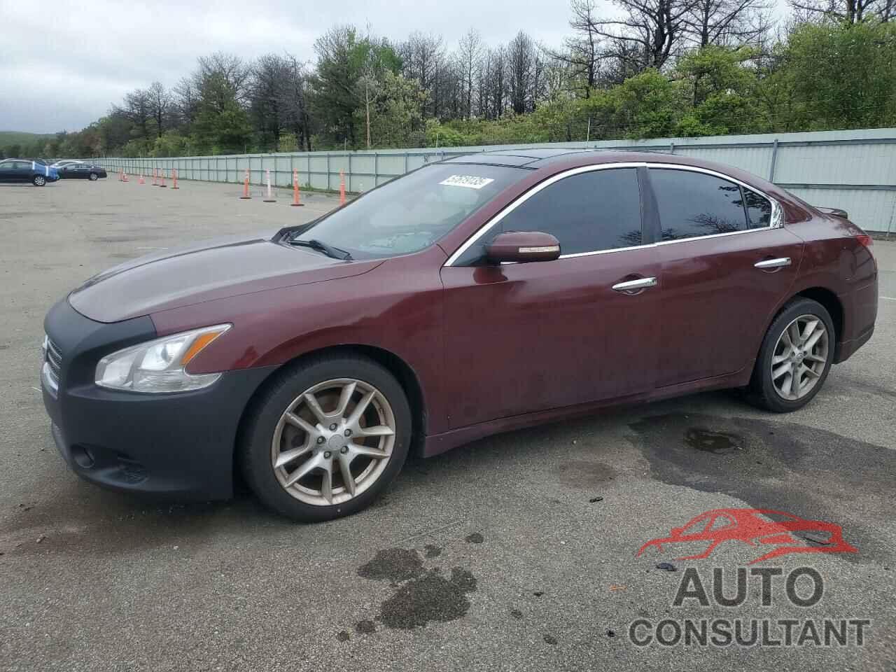 NISSAN MAXIMA 2011 - 1N4AA5APXBC833631