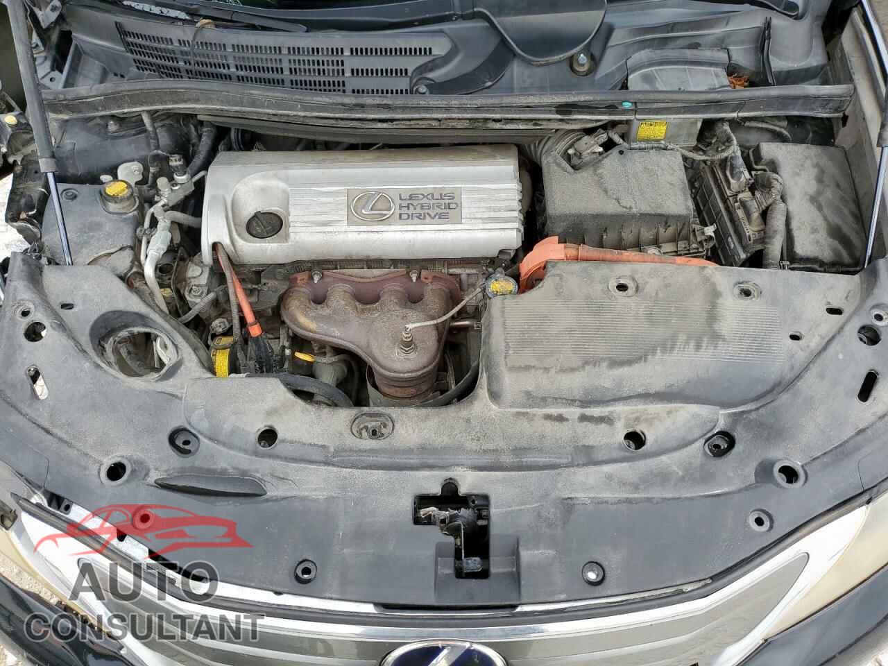 LEXUS HS 2011 - JTHBB1BAXB2043250