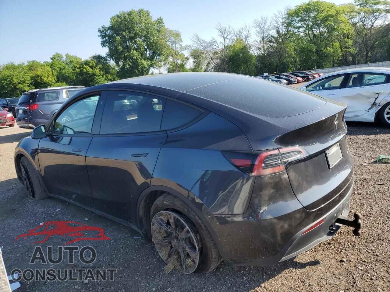 TESLA MODEL Y 2024 - 7SAYGDEEXRF199201