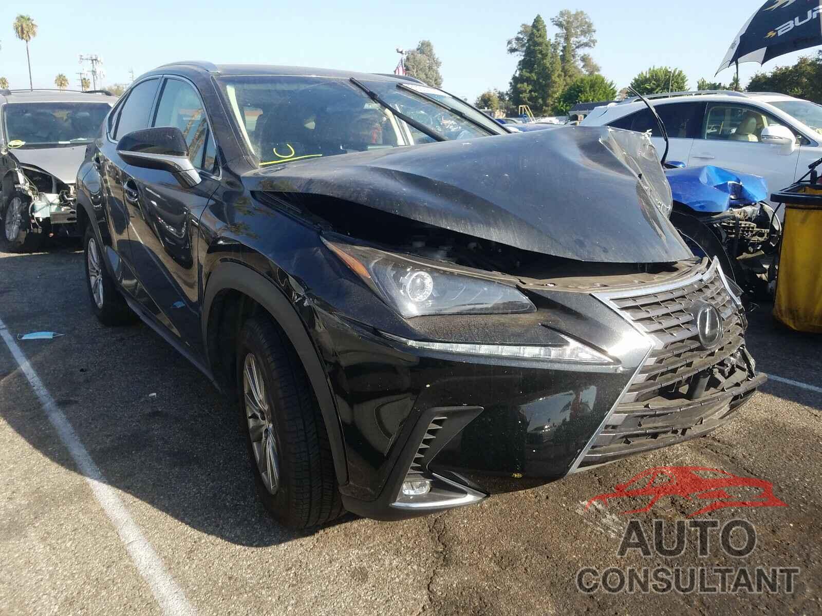 LEXUS NX 2019 - JTJYARBZ2K2134786