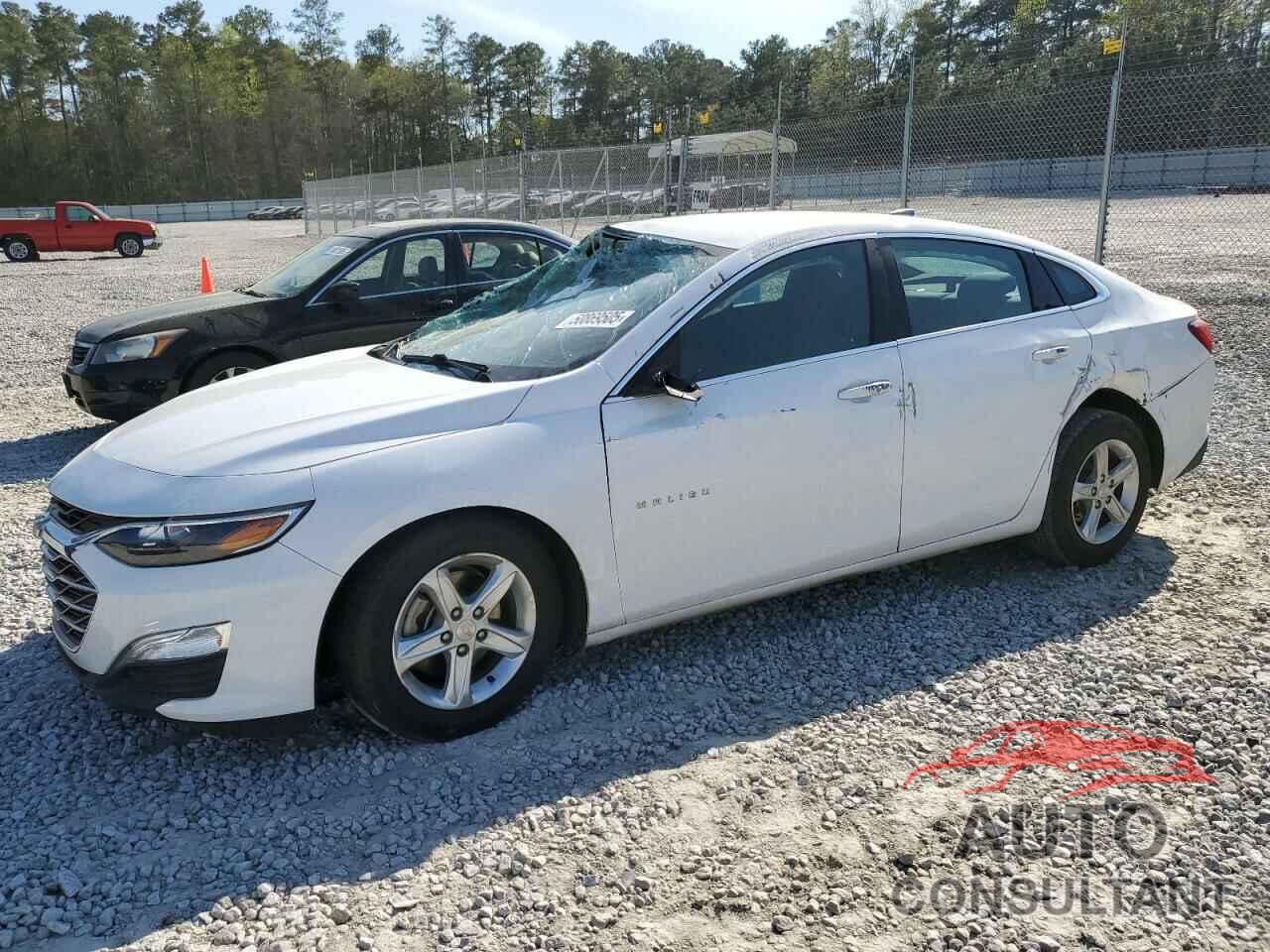 CHEVROLET MALIBU 2019 - 1G1ZB5ST0KF144257