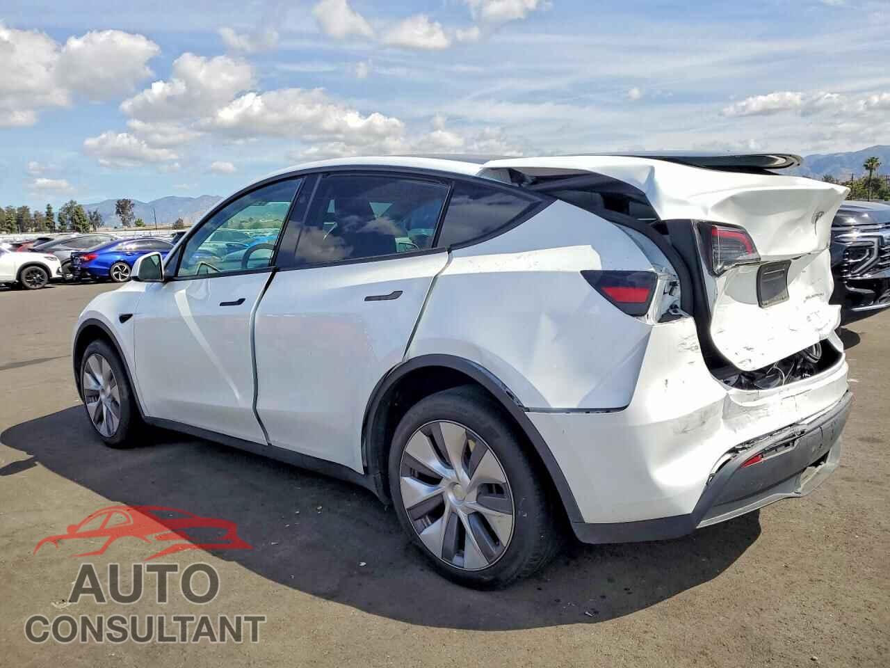 TESLA MODEL Y 2024 - 7SAYGDEE7RA263546