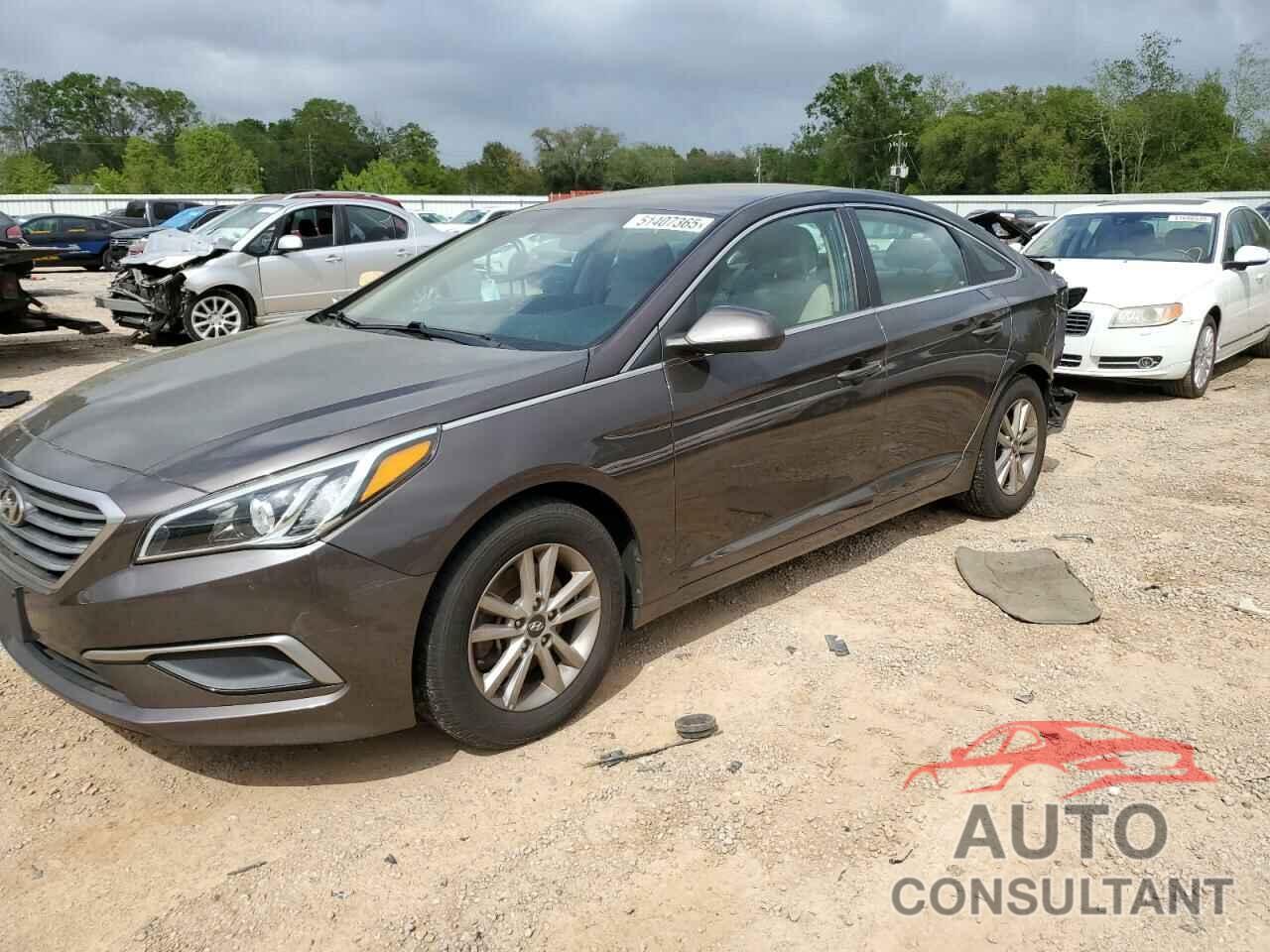 HYUNDAI SONATA 2017 - 5NPE24AF1HH446800