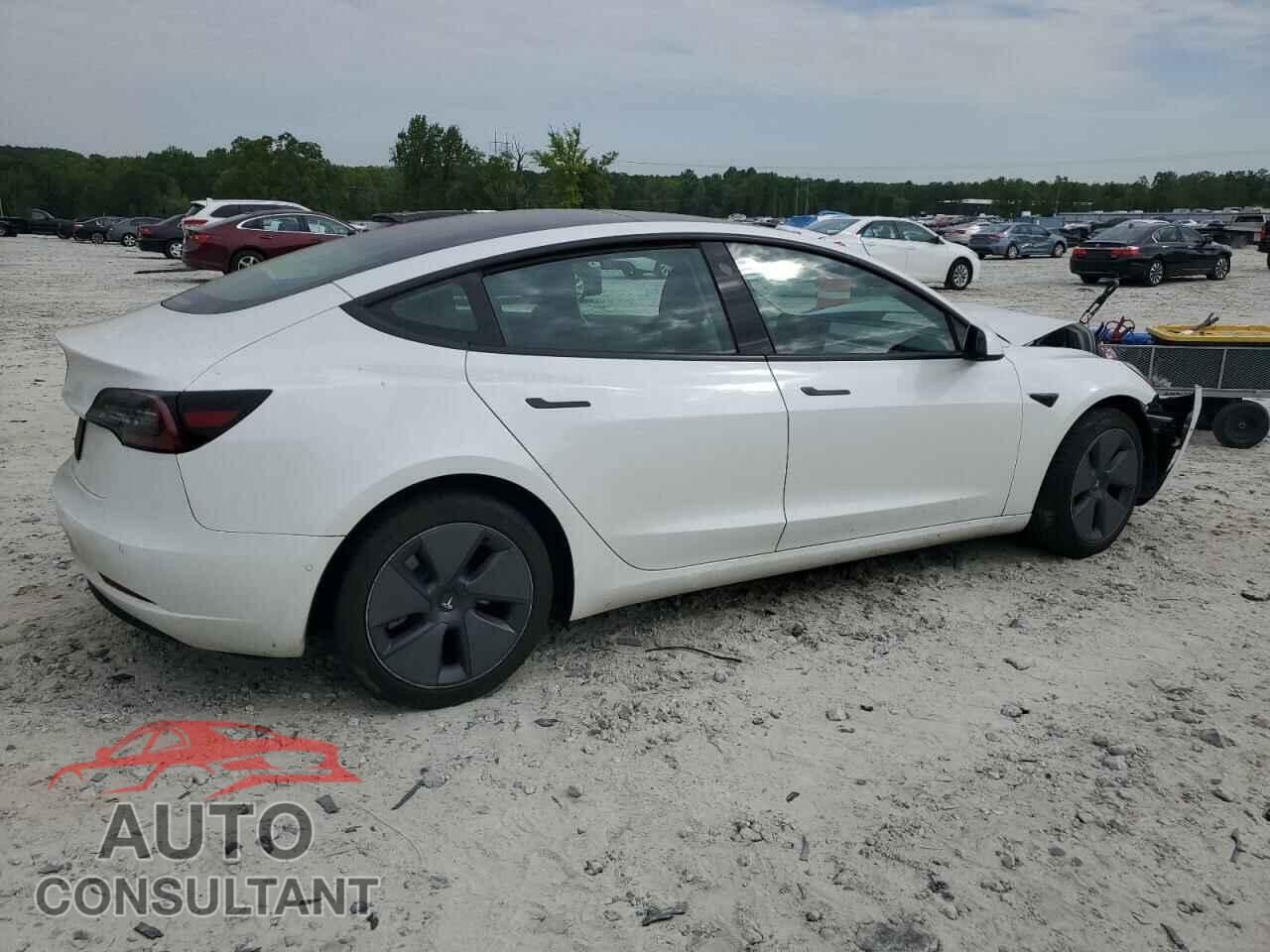 TESLA MODEL 3 2021 - 5YJ3E1EA0MF081708