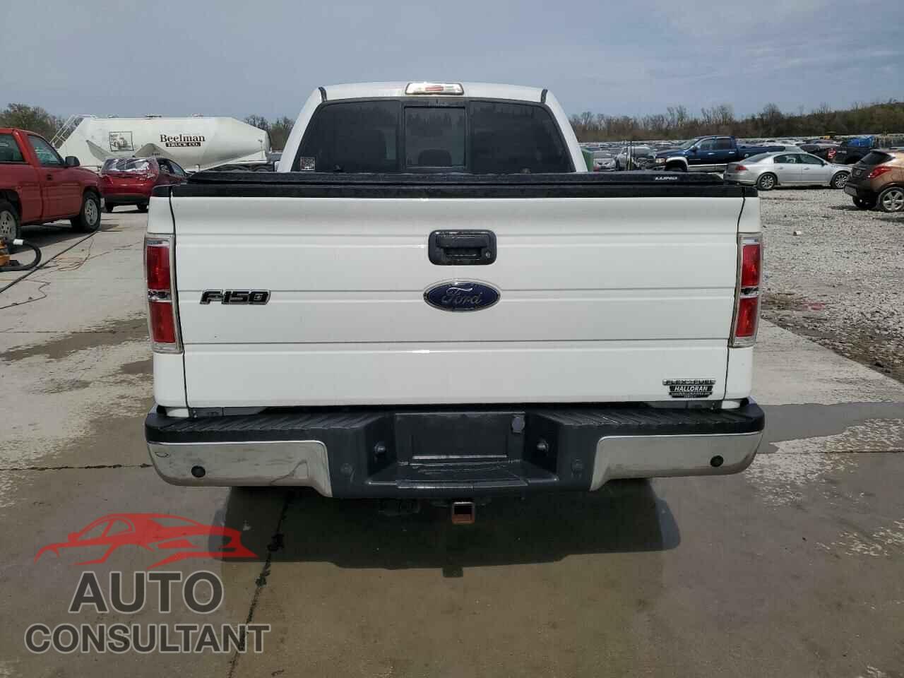 FORD F-150 2013 - 1FTEX1CM4DFC81650