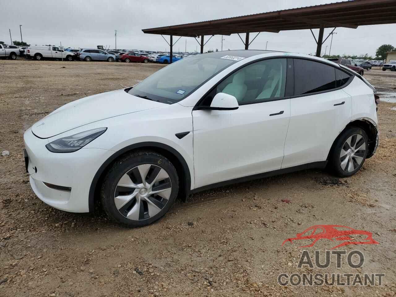 TESLA MODEL Y 2021 - 5YJYGDEE4MF182562