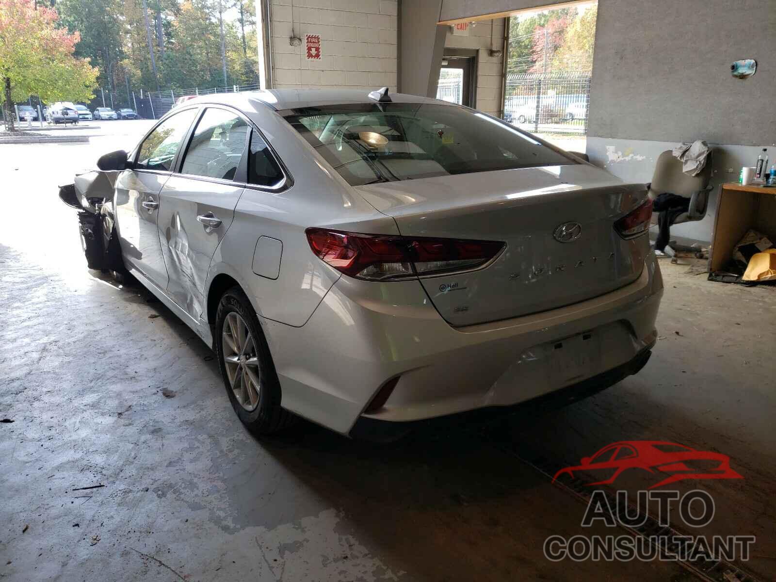 HYUNDAI SONATA 2019 - 5NPE24AF7KH743271