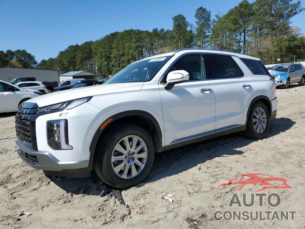 HYUNDAI PALISADE 2025 - KM8R2DGE0SU825375