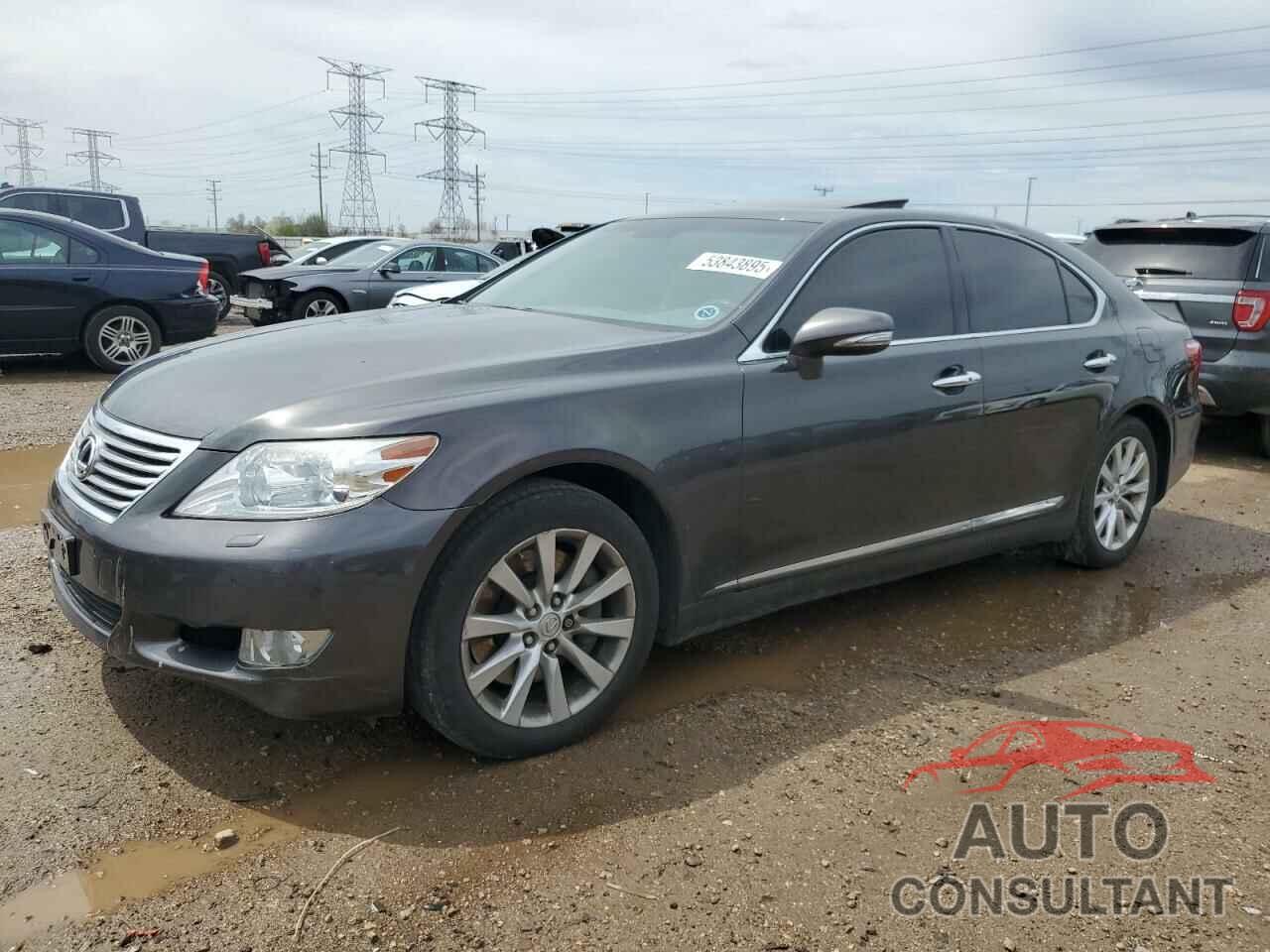 LEXUS LS460 2010 - JTHCL5EF5A5005308