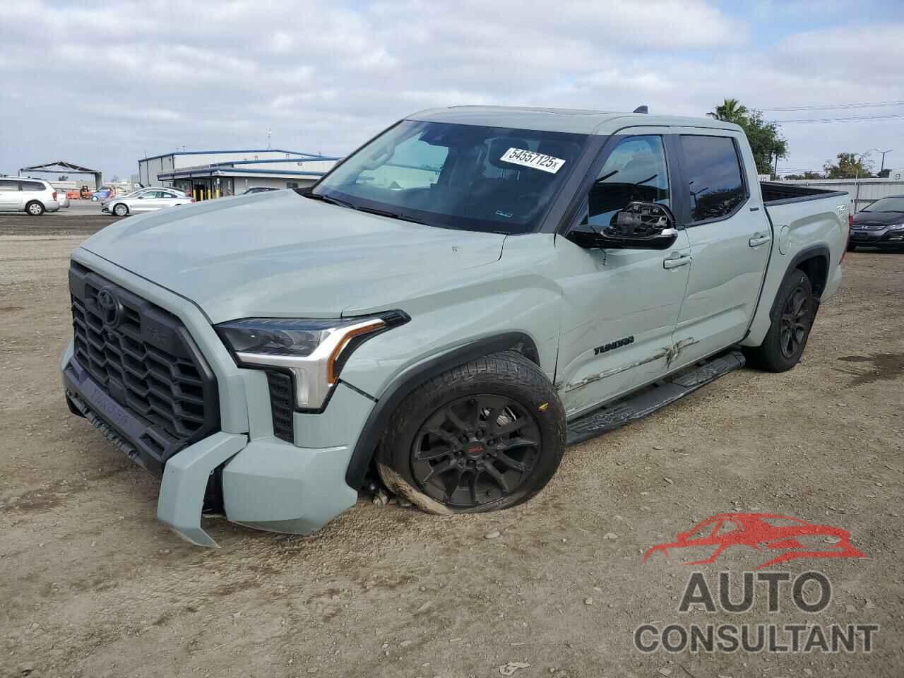 TOYOTA TUNDRA 2024 - 5TFWA5DB0RX221859