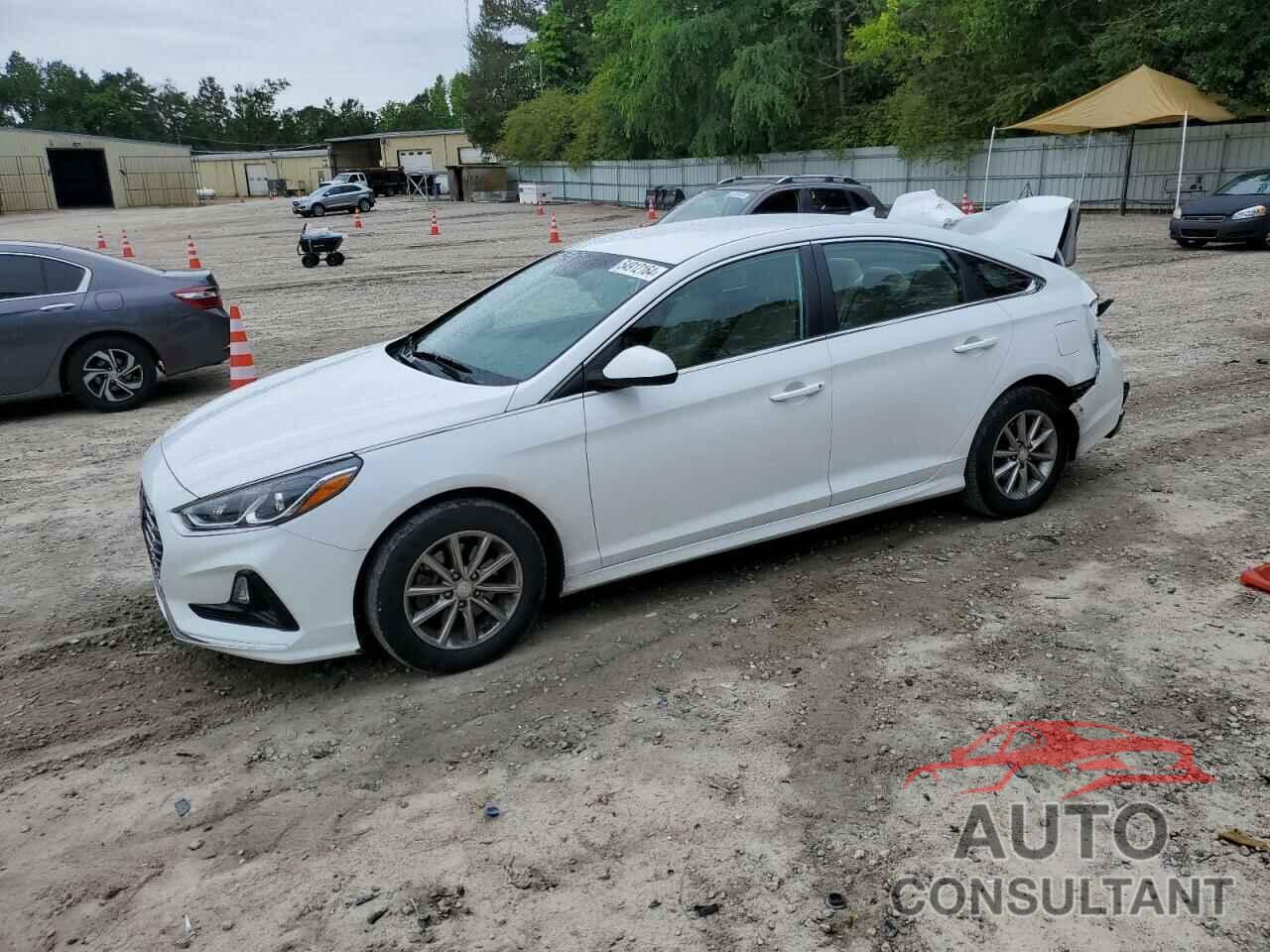 HYUNDAI SONATA 2019 - 5NPE24AF8KH763416