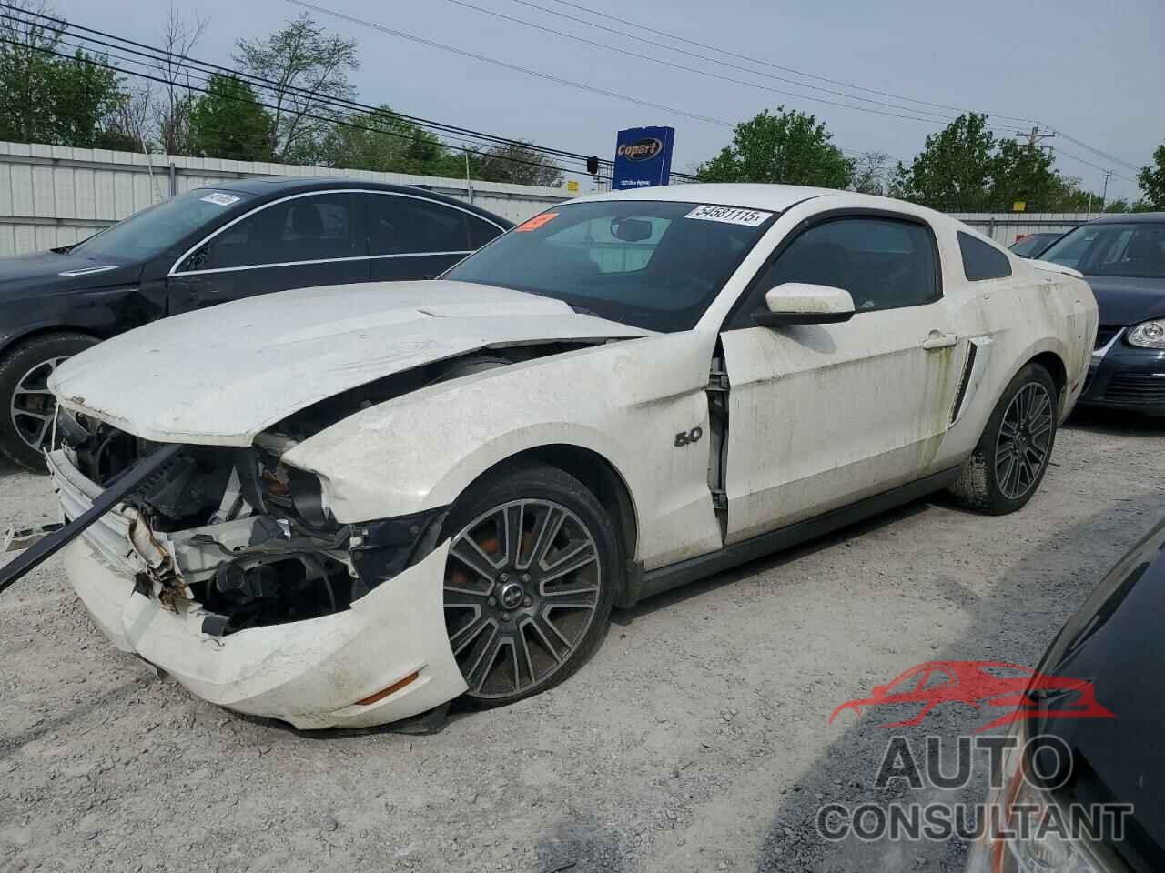FORD MUSTANG 2010 - 1ZVBP8CH1A5115616