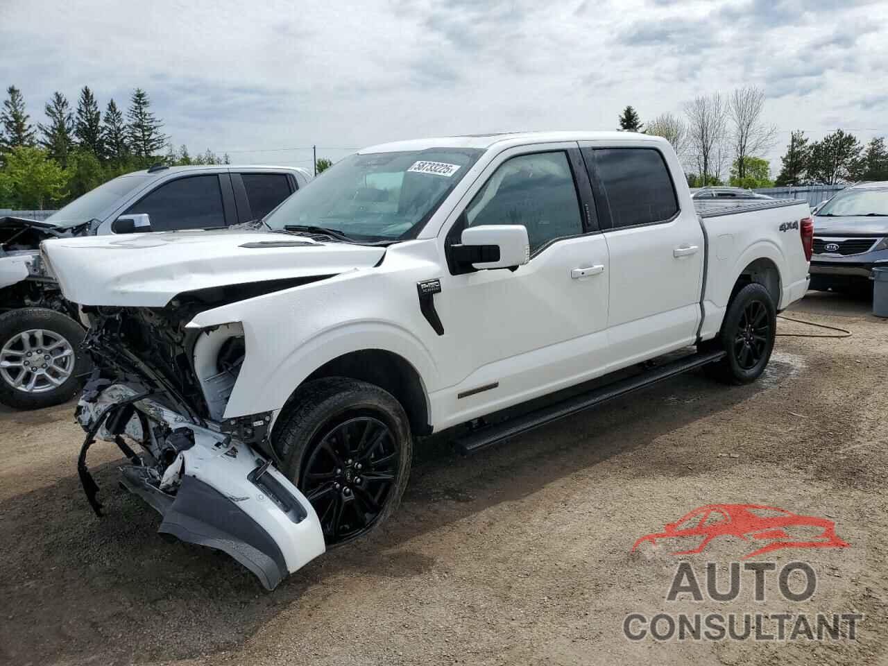 FORD F150 PLATI 2024 - 1FTFW7LD1RFC22461