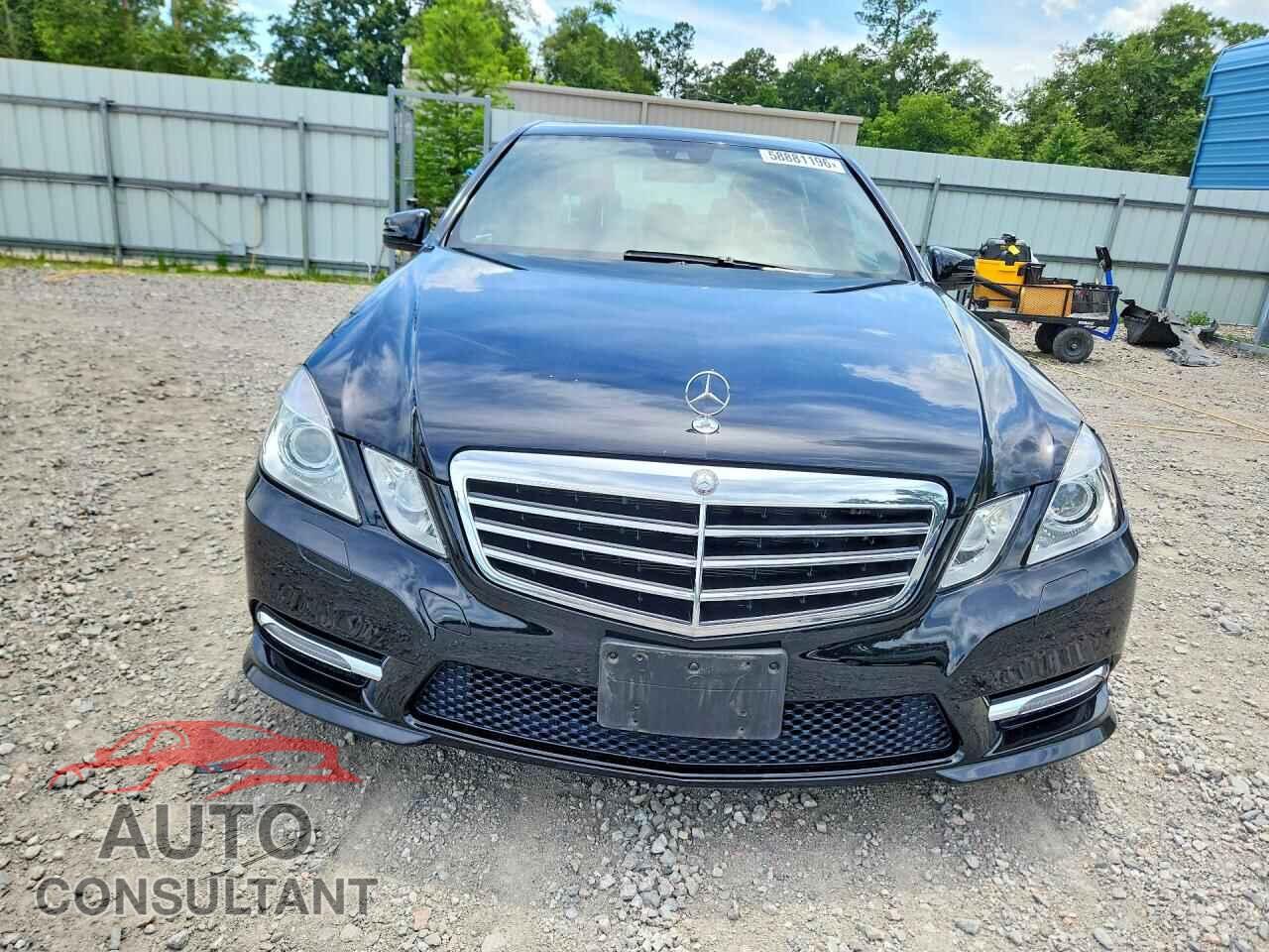 MERCEDES-BENZ E-CLASS 2013 - WDDHF5KBXDA717475