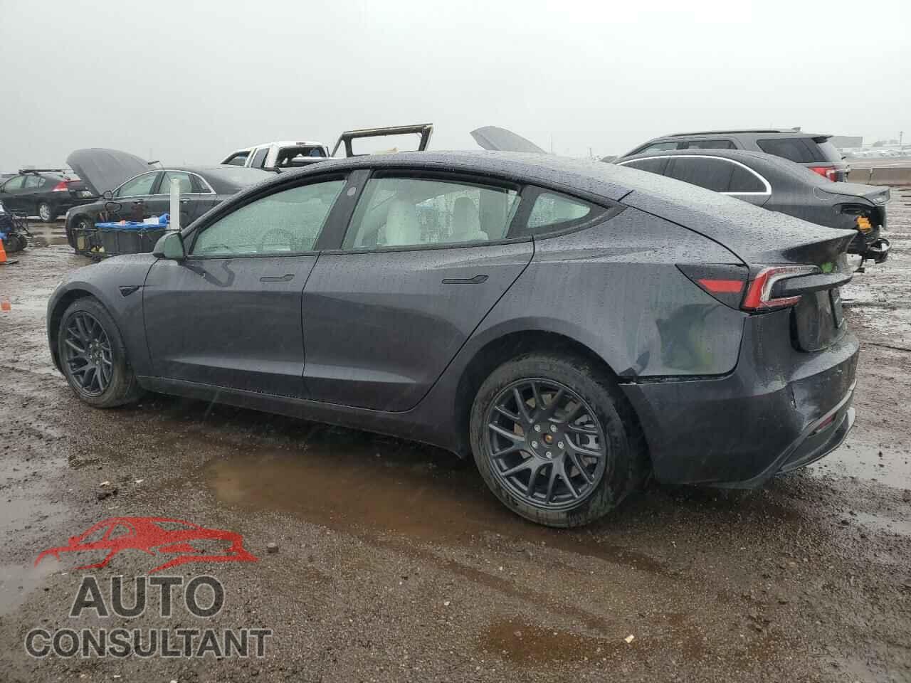 TESLA MODEL 3 2025 - 5YJ3E1EB0SF876117