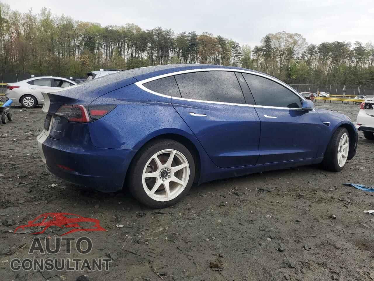 TESLA MODEL 3 2019 - 5YJ3E1EB2KF442460