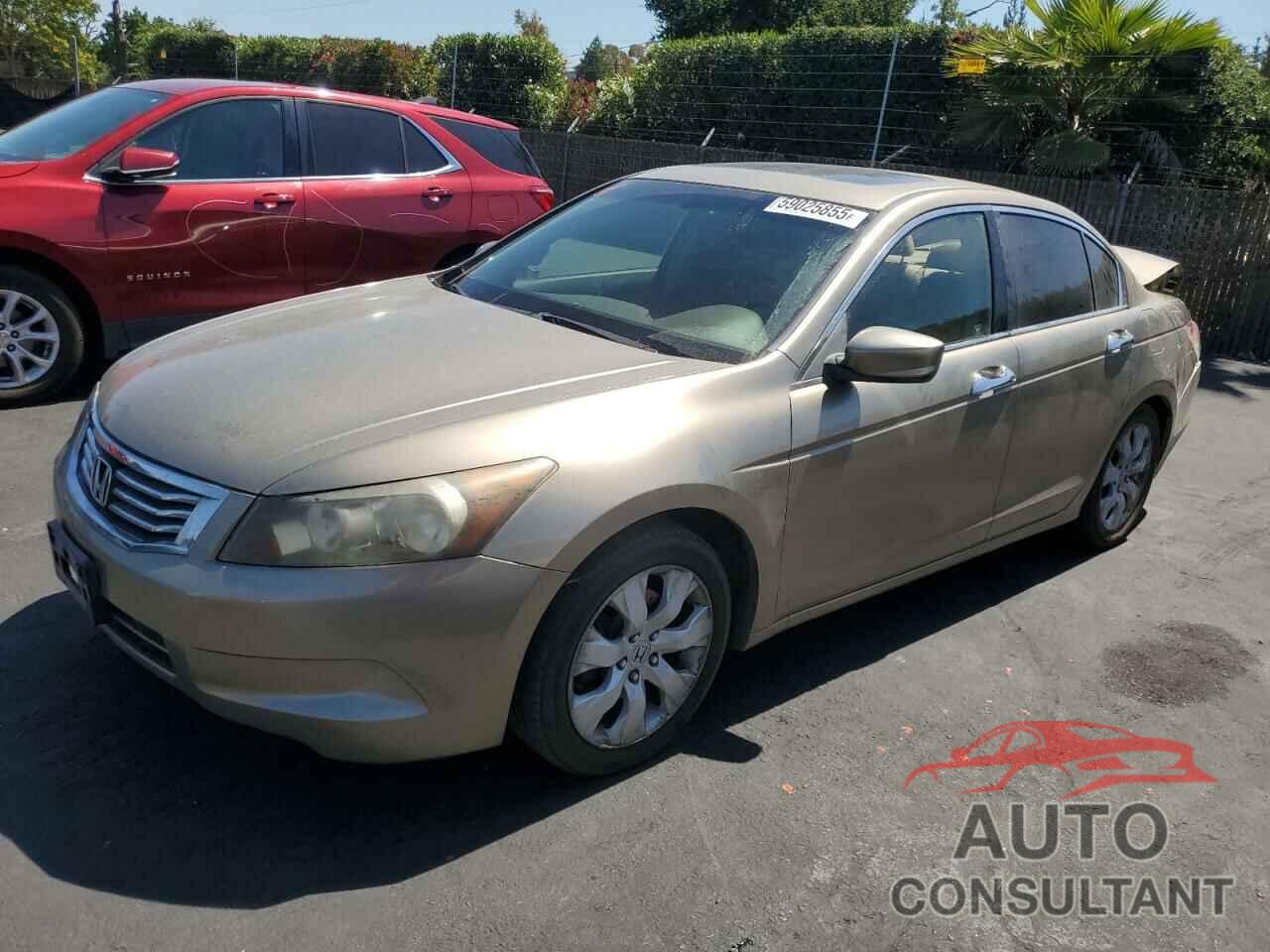 HONDA ACCORD 2009 - JHMCP26819C010872